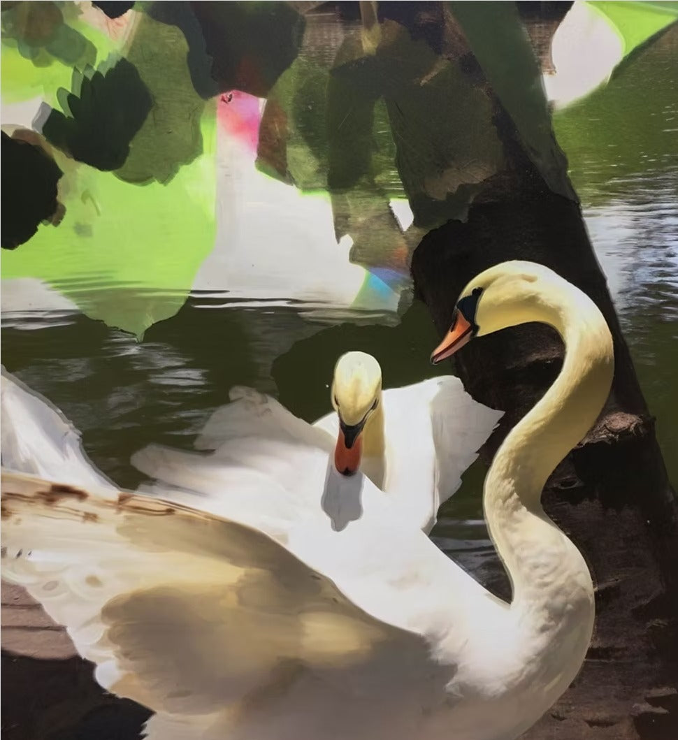 Graceful Swans | Elegant Wildlife Giclée Fine Art Print