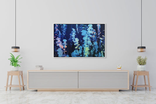 Midnight Coral | Abstract Giclée Fine Art Print